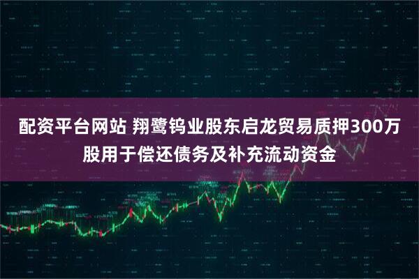 配资平台网站 翔鹭钨业股东启龙贸易质押300万股用于偿还债务及补充流动资金