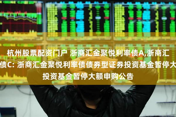 杭州股票配资门户 浙商汇金聚悦利率债A,浙商汇金聚悦利率债C: 浙商汇金聚悦利率债债券型证券投资基金暂停大额申购公告