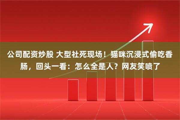 公司配资炒股 大型社死现场！猫咪沉浸式偷吃香肠，回头一看：怎么全是人？网友笑喷了
